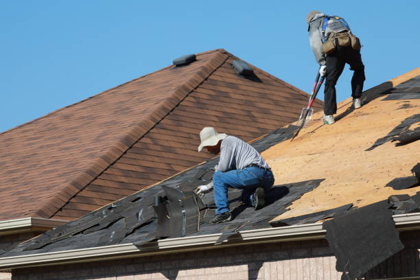 Best Roof Insulation Installation  in Vienna, VA