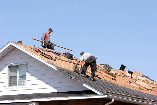 Best Roof Coating Services  in Vienna, VA